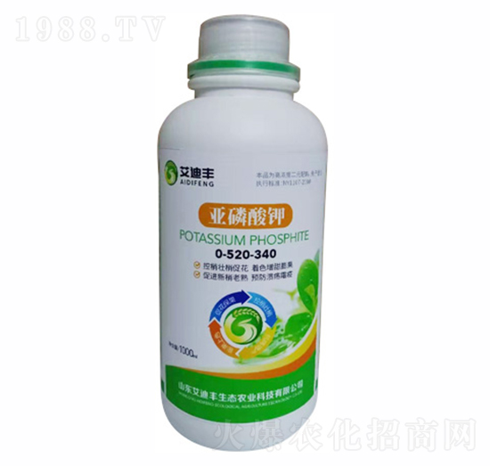 �������-�����S