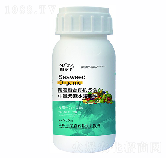 ���������ЙC(j��)�}�V-�����_-�Ɲ�(r��n)�r(n��ng)��