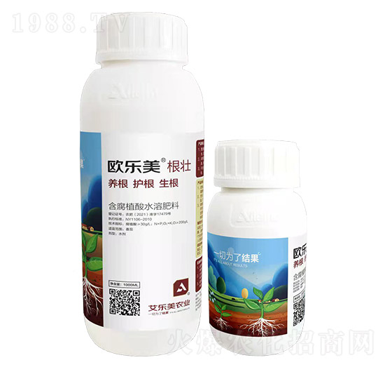 �W����-����-������