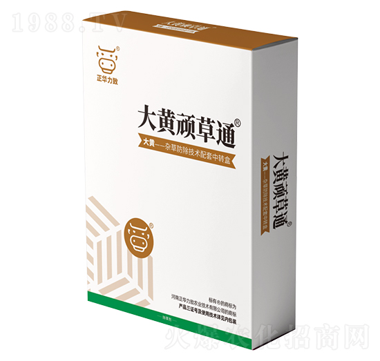 大黃頑草通-正華力致