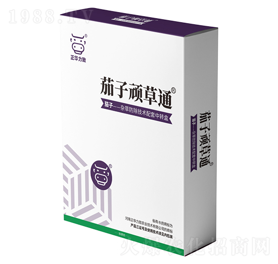 �����B��ͨ-���A����