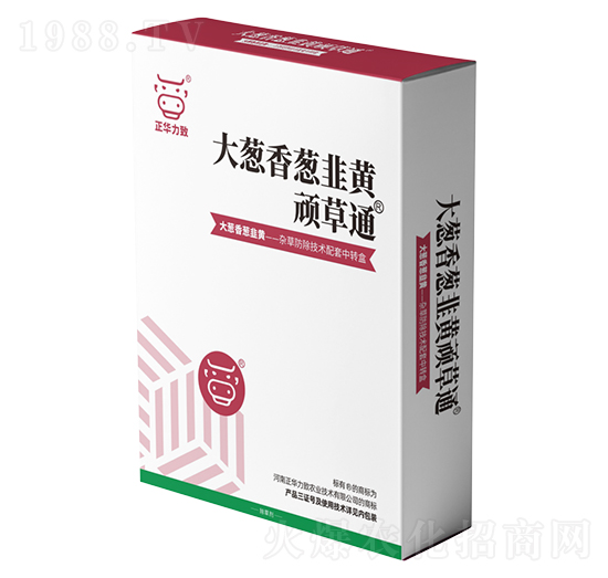 ���[�����[�����S�B��ͨ-���A����