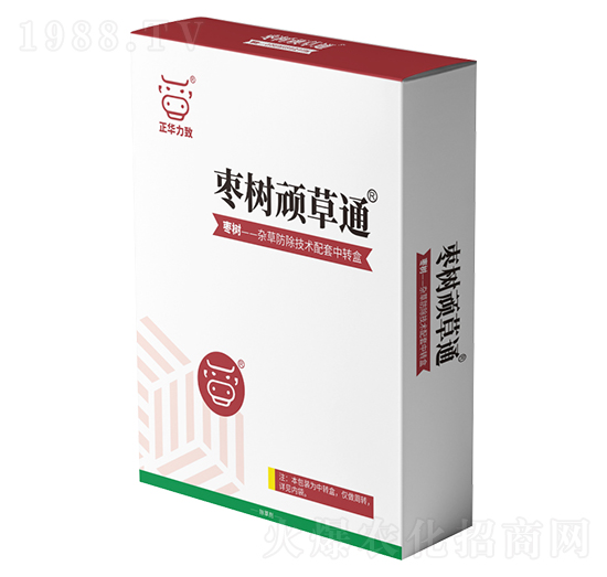 �����B��ͨ-���A����