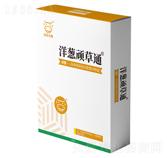 ���[�B��ͨ-���A����