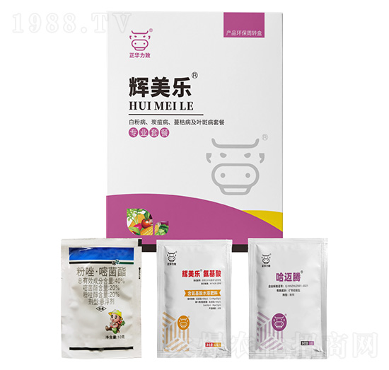 �׷۲���̿�Ҳ������ݲ����~�߲��ײ�-�x����(l��)-���A����