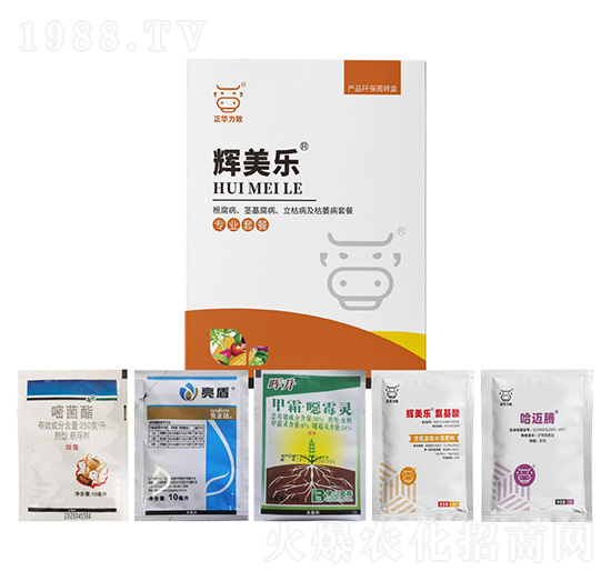 ���������o�����������ݲ�����ή���ײ�-�x����-���A����