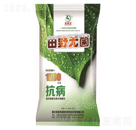 ����s��(f��)��΢�������-��Ұ�o(w��)��-�l(f��)ؔ(c��i)��