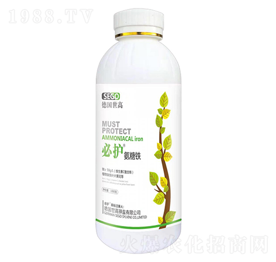 �����F-���o-����������