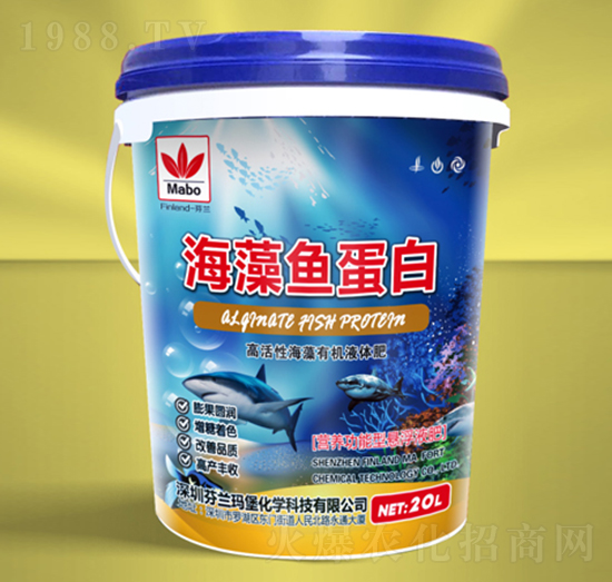 �����~(y��)����-���m����