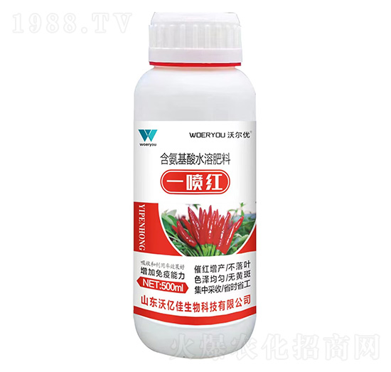 ����һ���t-�֠���(y��u)