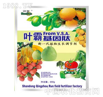 ����-�~�Ի�����