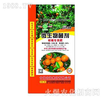 ���ٌ���΢�������-���r