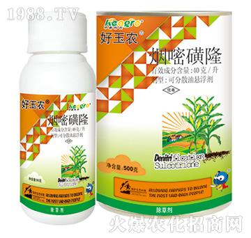 40��ÿ�����׻�¡-�����r-���¿��r