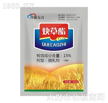 15%Ȳ����-�����Ѻ�