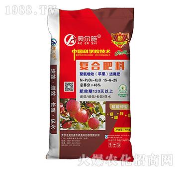 �O���ʏͺϷ���15-6-25-�쌚�S