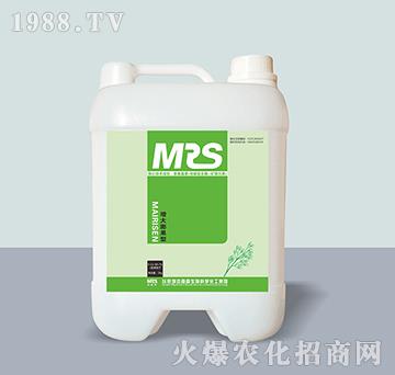 ��������͛_ʩ��9-12-40+TE-�~�ɭ