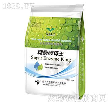 ��ø��ĸ��-�º���