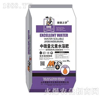 ��΢��Ԫ��ˮ�ܷ�-����֮��(m��ng)-��ʢ���r(n��ng)