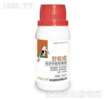 ��(j��ng)��(j��)���(zhu��n)����-���ճ�-�G��