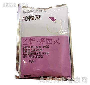 50%���X������`-݆���`-̩�̻���