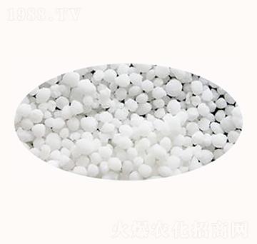 ���������@�}-����ʘI(y��)