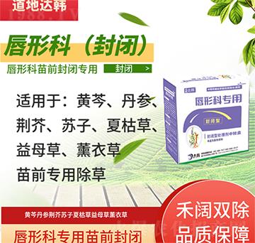 ���οƳ��݄�-���ο���ǰ-���οƌ���-���n