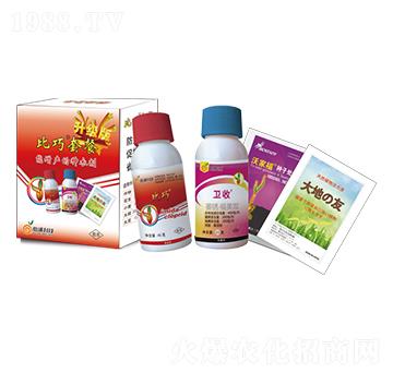 �����ײ�-�����r(n��ng)�I(y��)