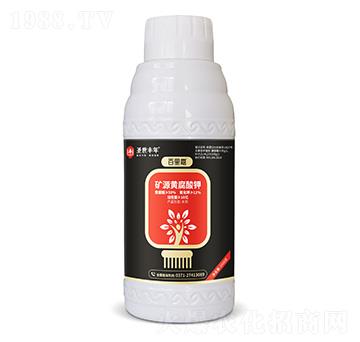 �VԴ�S����� ����� ʥ���S��