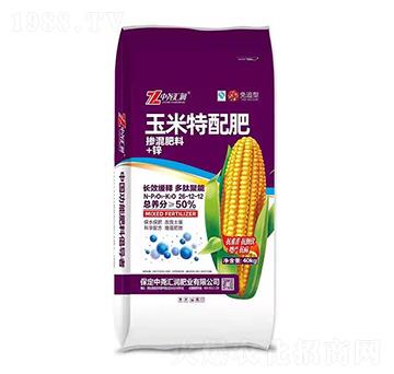 ���������26-12-12 �Ј�R��(r��n)