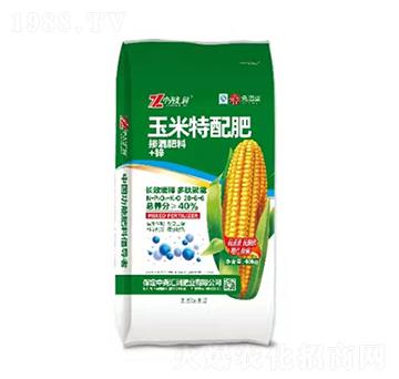 ���������28-6-6 �Ј�R��(r��n)