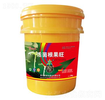 ��������� �Ý��S