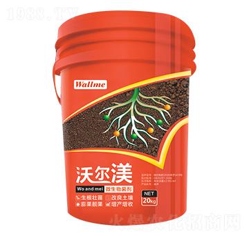 ΢������� �֠���