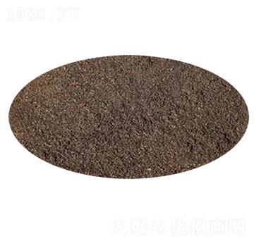 �����ЙC��-������ʘI(y��)