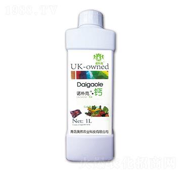 �Z��ˡ��}-�WȻ�r�I(y��)