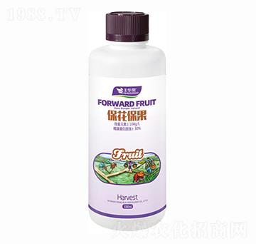 ����������-�S�A��-�S�A�ʘI(y��)