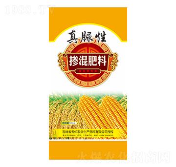 �������-������-��������