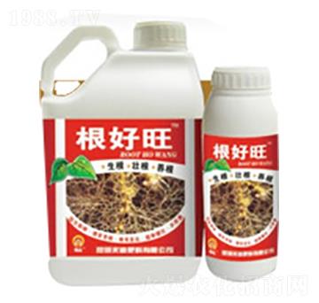 ������-�̵�