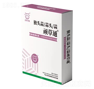 獨頭蒜頑草通-正華力致