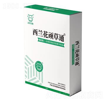 西蘭花頑草通-正華力致