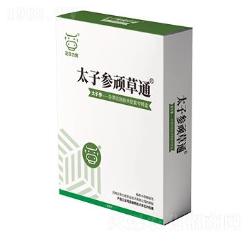 太子參頑草通-正華力致