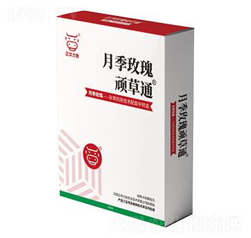 月季玫瑰頑草通-正華力致