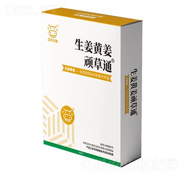 生姜黃姜頑草通-正華力致