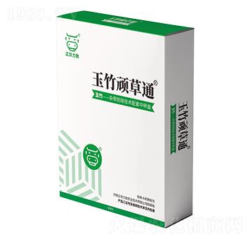 玉竹頑草通-正華力致