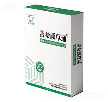 �����B��ͨ-���A����