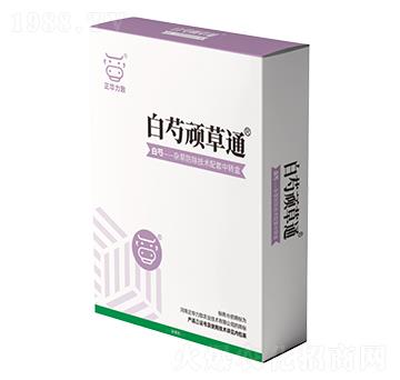 �����B��ͨ-���A����