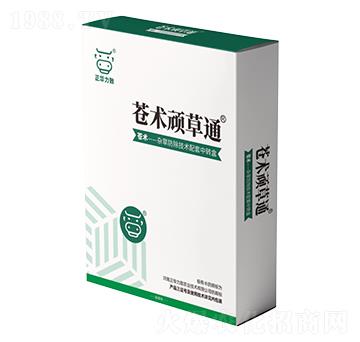 �n�g�B��ͨ-���A����