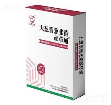 ���[�����[�����S�B��ͨ-���A����