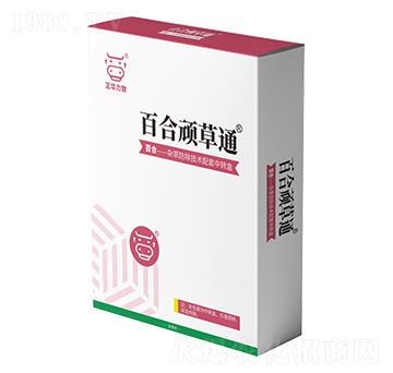 �ٺ��B��ͨ-���A����