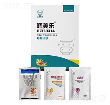 ��ù�������߲������˲��ײ�-�x����-���A����