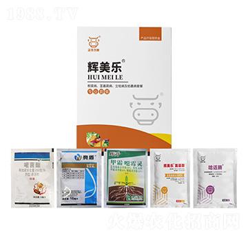 ���������o�����������ݲ�����ή���ײ�-�x����-���A����